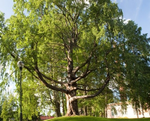 Innocum_rakennukset-13-of-28